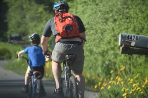 Biking without lower back pain